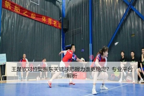 王楚钦对位樊振东关键球把握力谁更稳定？专业平台解析